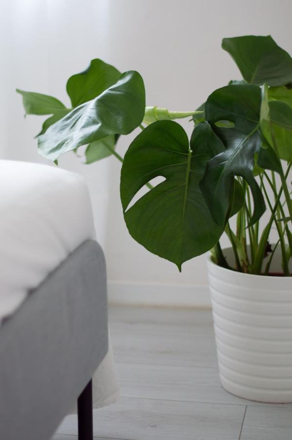 Ungarelli Apartment Roma Ngoại thất bức ảnh